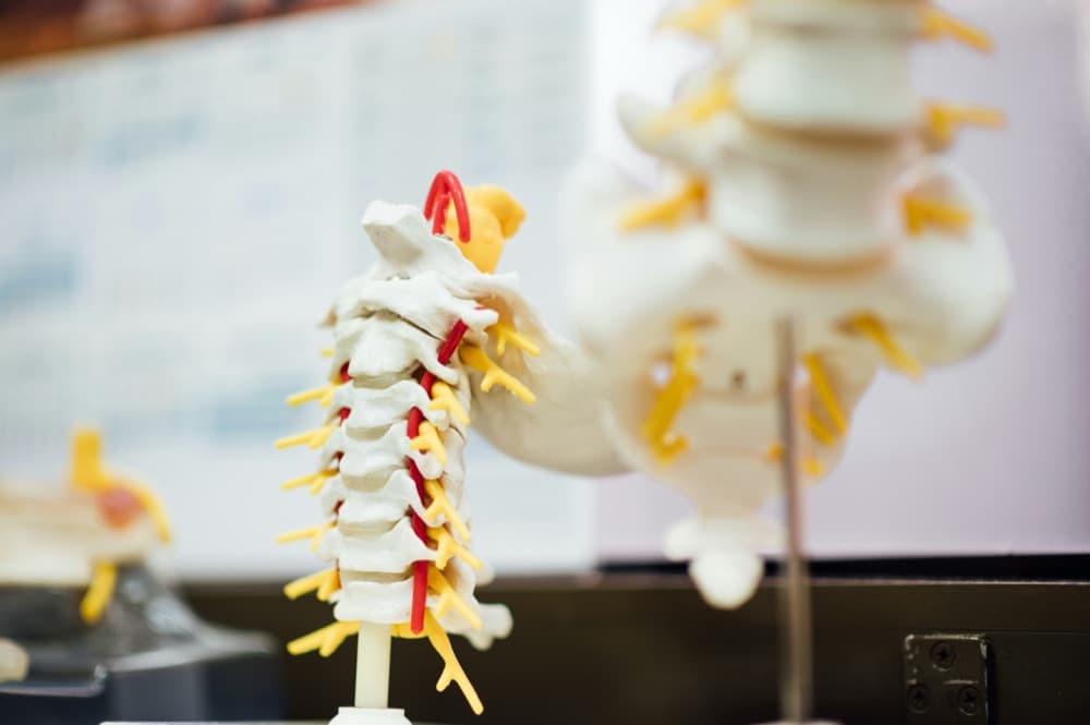 Spine Surgery
